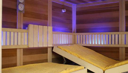 Инфракрасная сауна Saunalux UltraSalAir (рис.9) Инфракрасная сауна Saunalux UltraSalAir (рис.9)